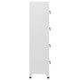 Voir la diapositive 4 : VIDAXL Armoire a casier avec 4 compartiments 38x45x180 cm