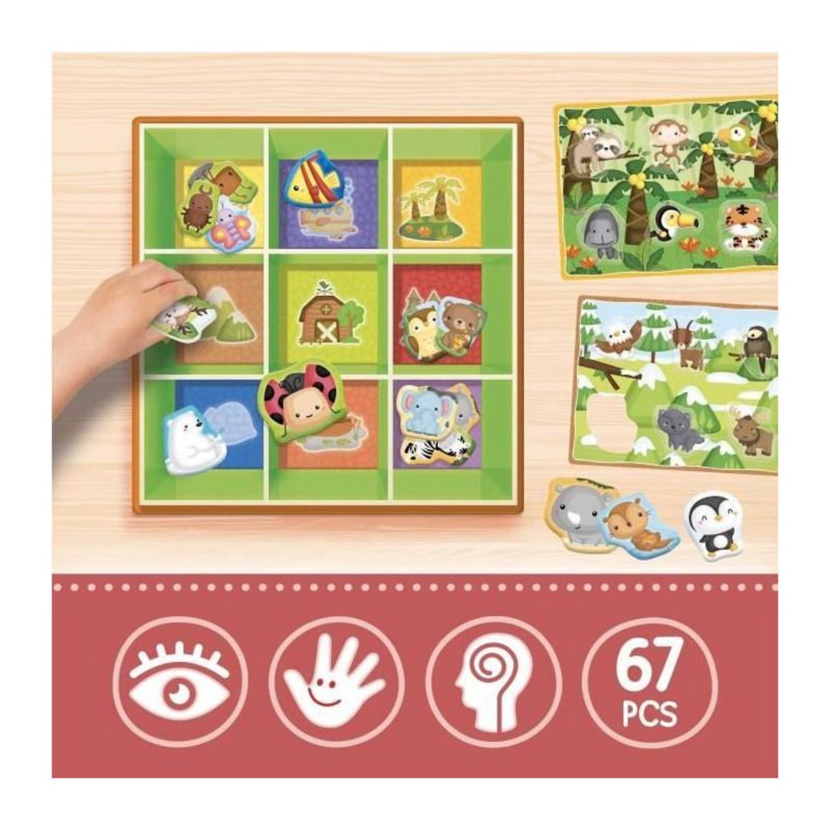 LISCIANI GIOCHI Boîte d'apprentissage Tri animaux - Jeu Montessori - LISCIANIGIOCHI - Jeu de classification, Apprentissage des habitats