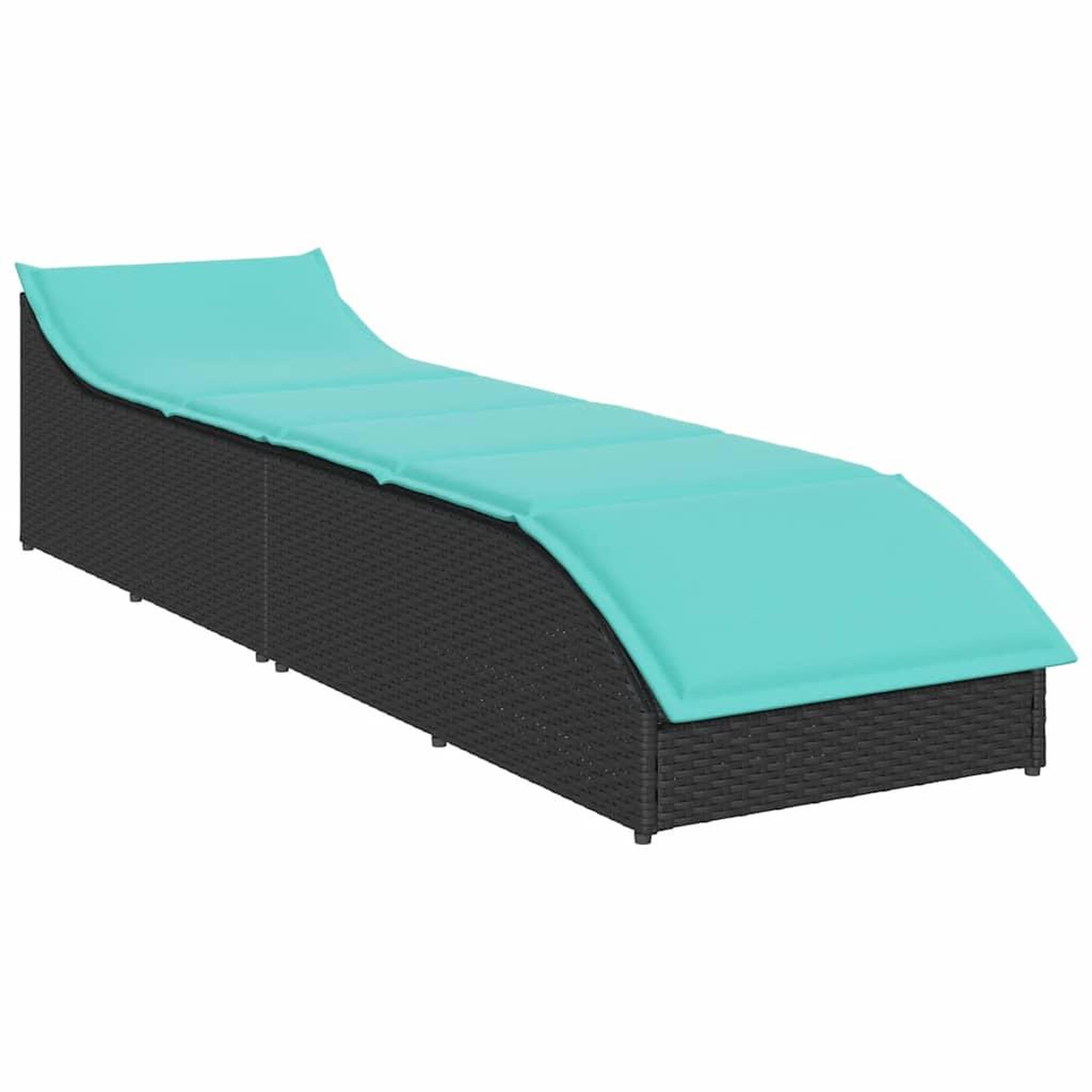 Voir la diapositive 4 : VIDAXL Chaise longue pliante coussin et rangement noir resine tressee