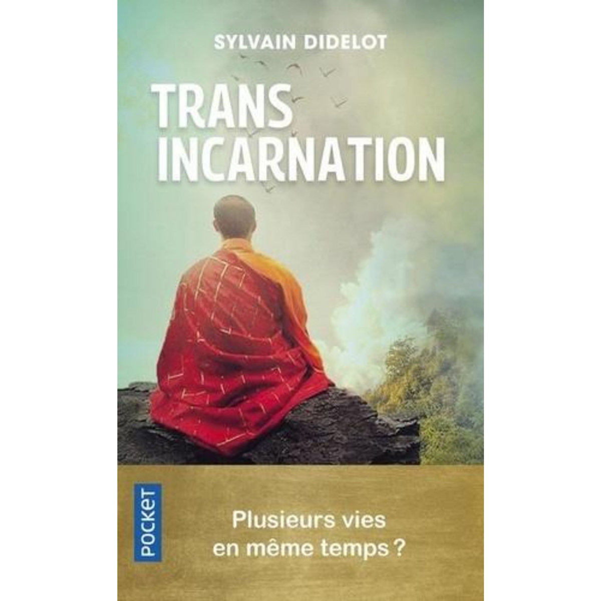 TRANSINCARNATION. PLUSIEURS VIES EN MEME TEMPS ?, Didelot Sylvain