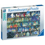 Voir la diapositive 1 : RAVENSBURGER Puzzle 2000 pièces - L'étagère à potions / Zoe Sandler