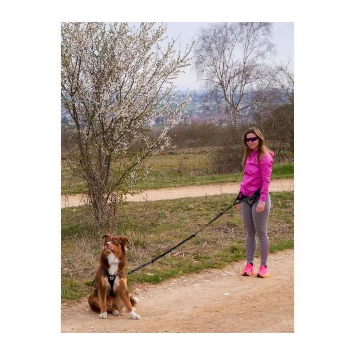 Harnais pour chien - SYMBIOZ - M - Noir / Bleu