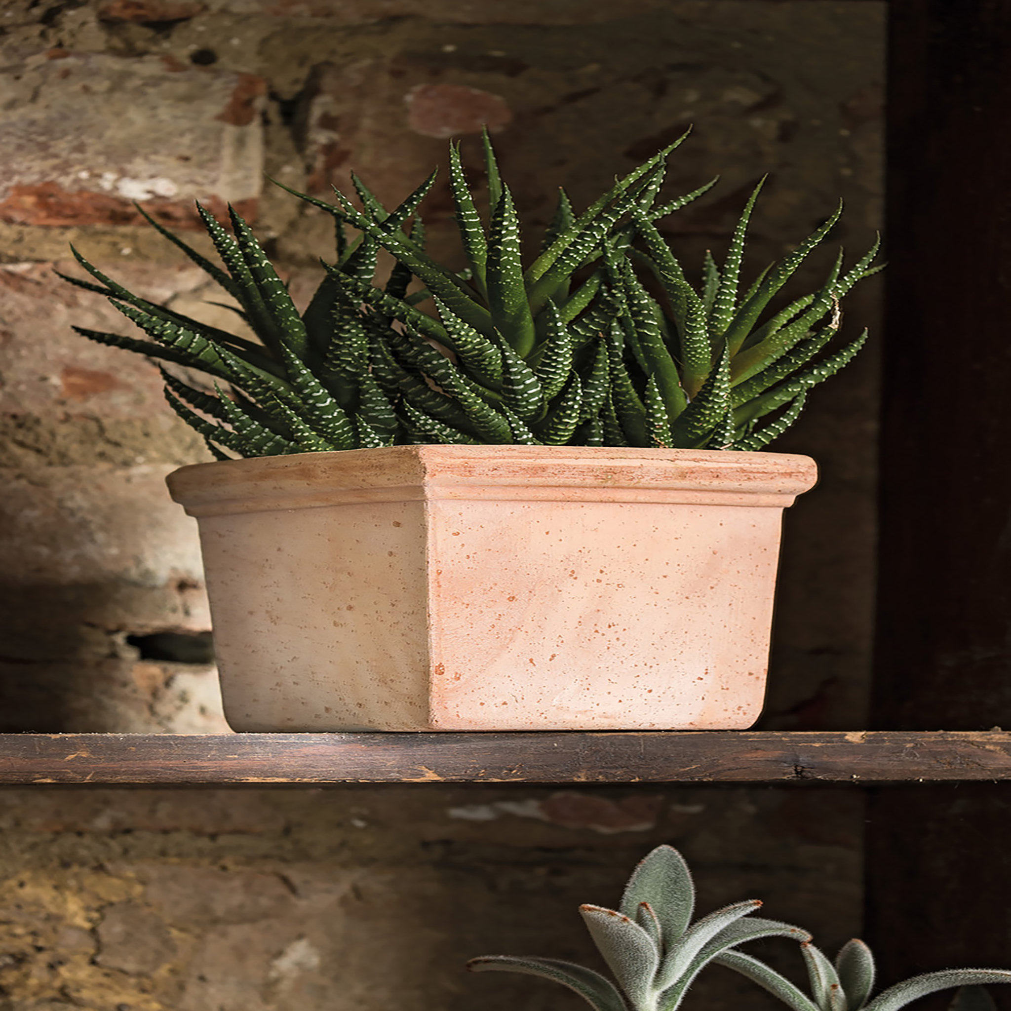 Voir la diapositive 2 : Quadro Mini Siena Toscana11cm