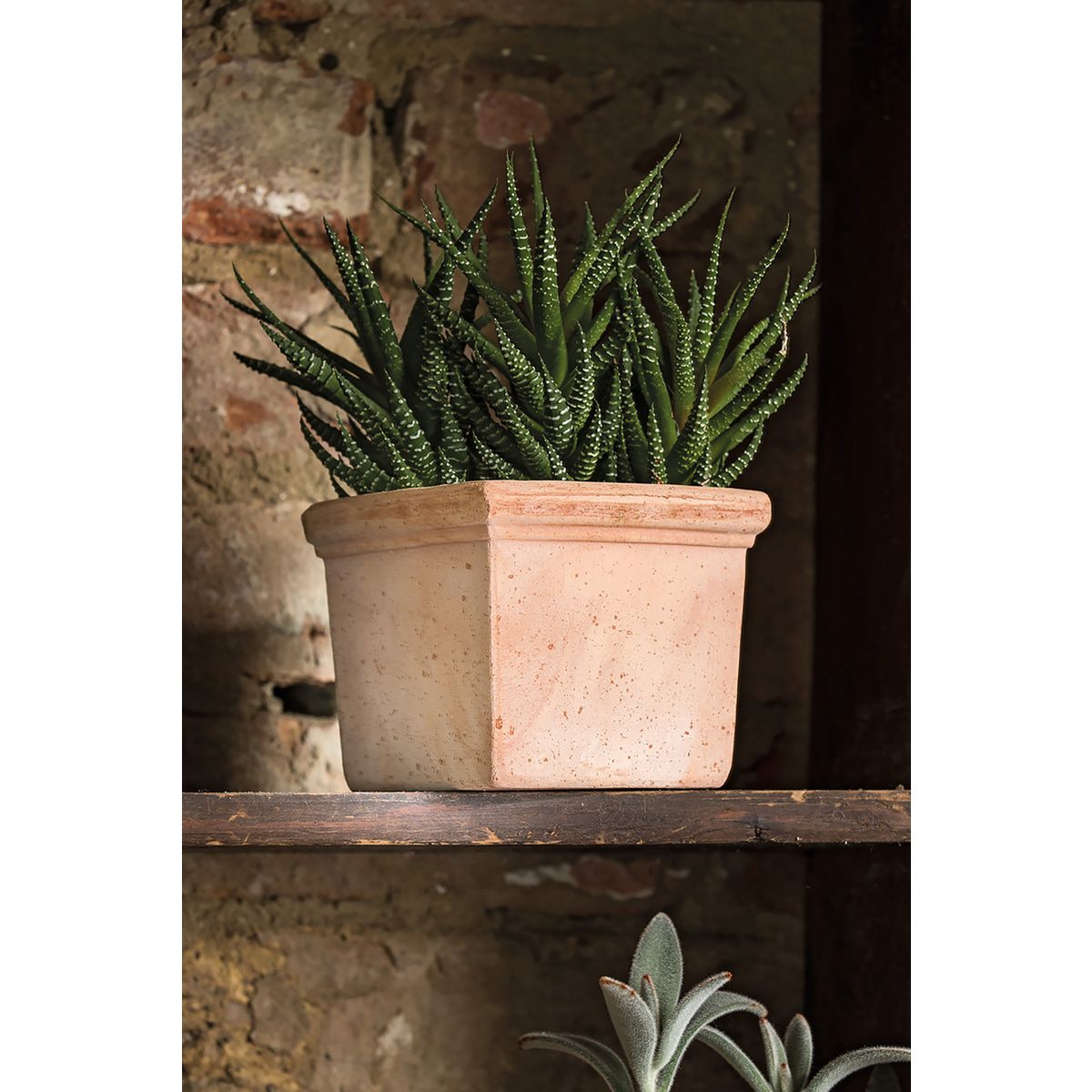 Quadro Mini Siena Toscana11cm