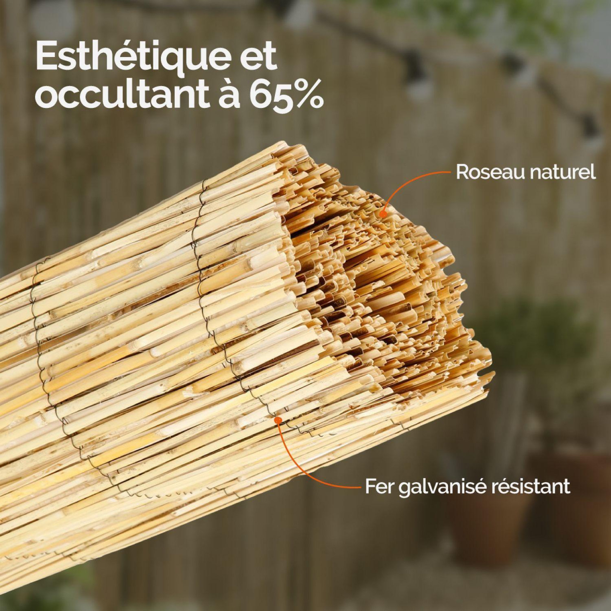 Voir la diapositive 3 : LINXOR Canisse, brise vue occultant en roseau fendu