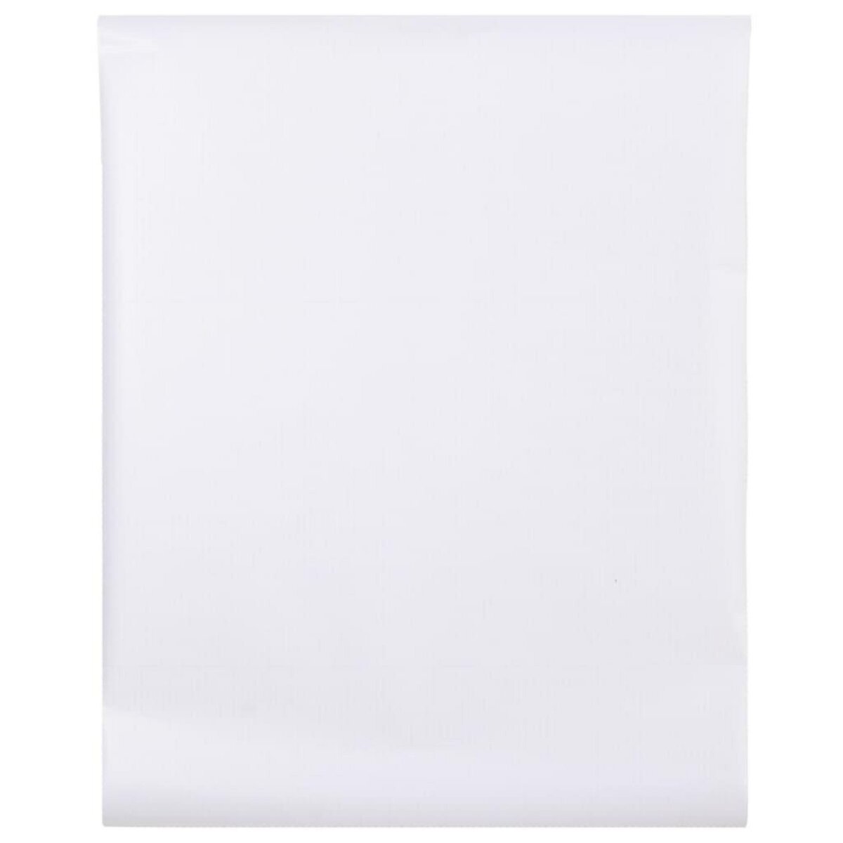 VIDAXL Films pour fenetre depoli blanc PVC