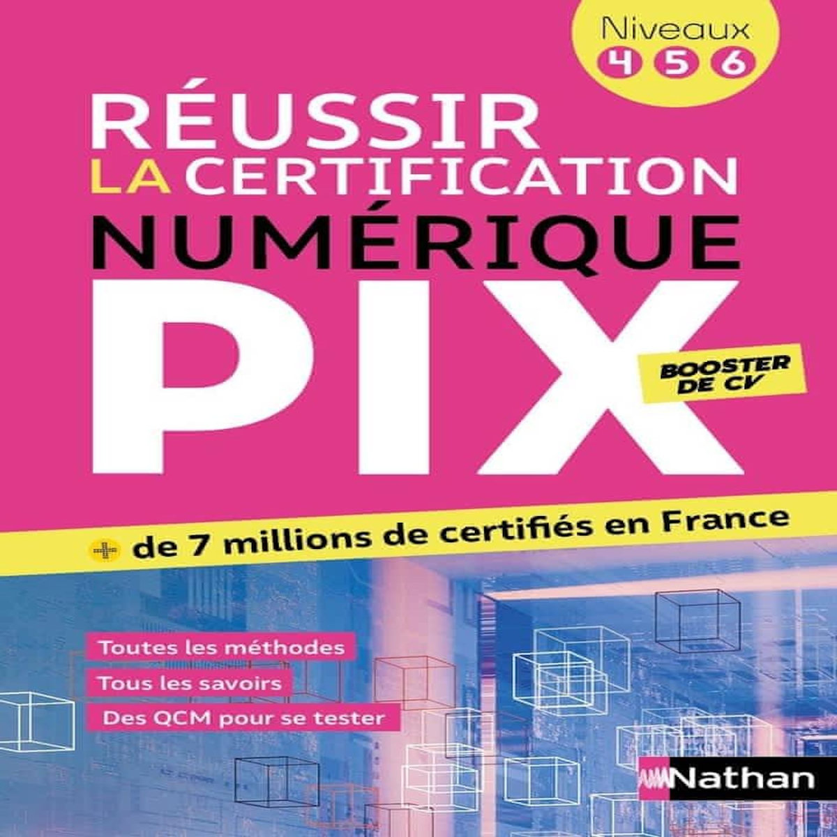 REUSSIR LA CERTIFICATION PIX. NIVEAUX 4, 5, 6, EDITION 2026, Riou Hervé