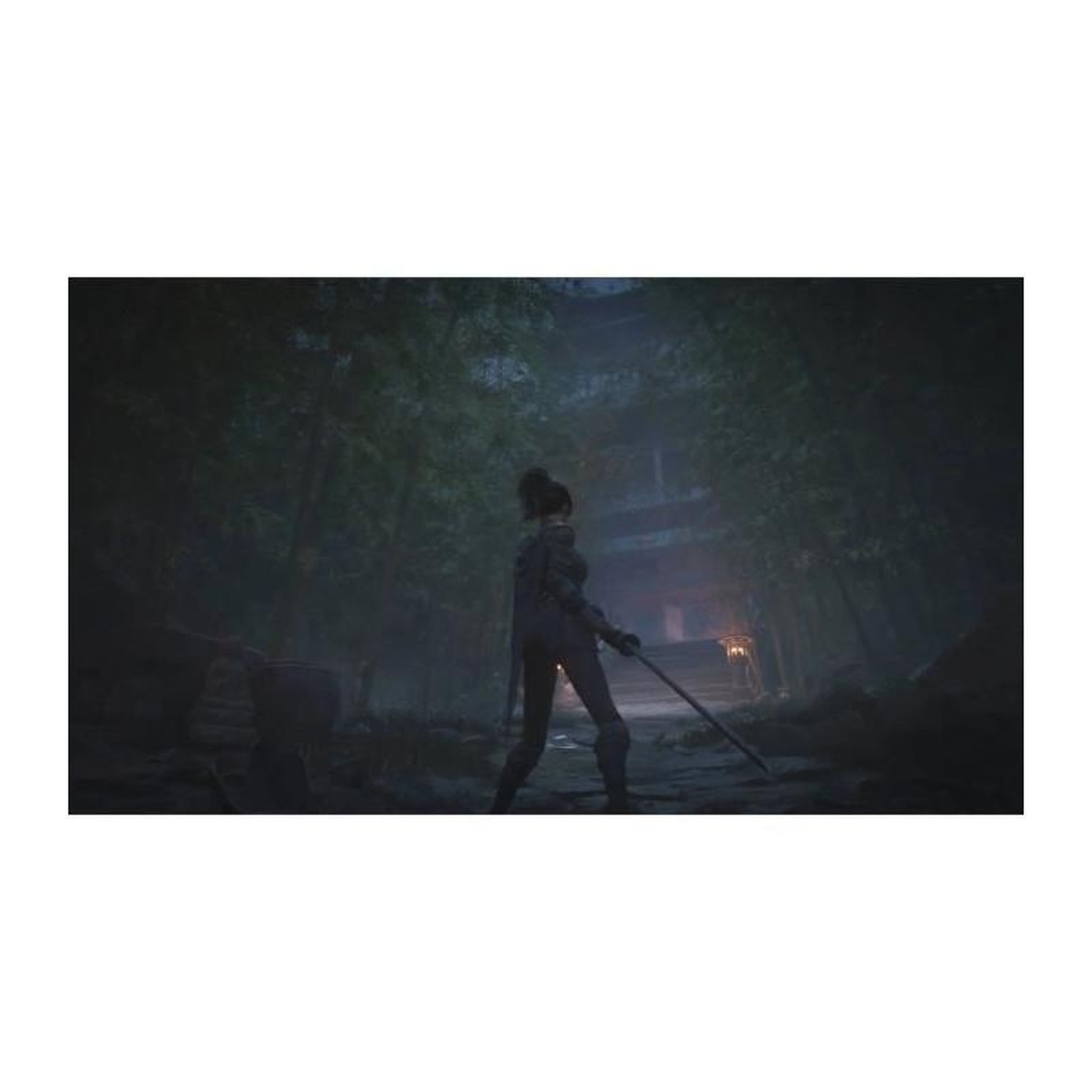 Voir la diapositive 3 : Just for games WUCHANG : Fallen Feathers - Day One Edition - Jeu Xbox Series X