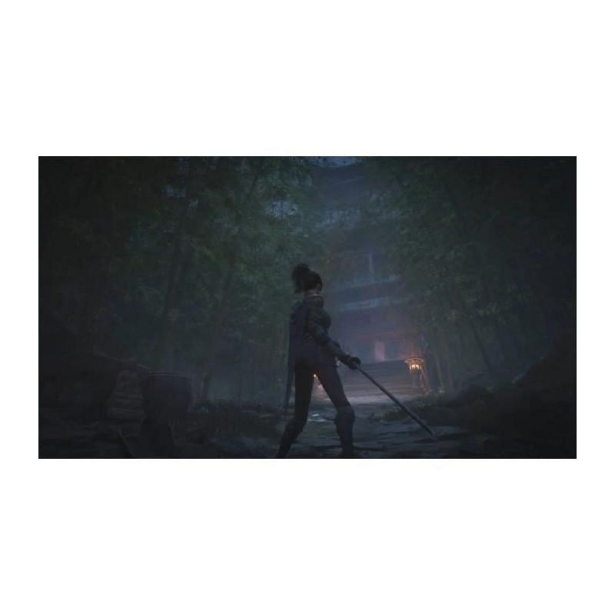 Just for games WUCHANG : Fallen Feathers - Day One Edition - Jeu Xbox Series X