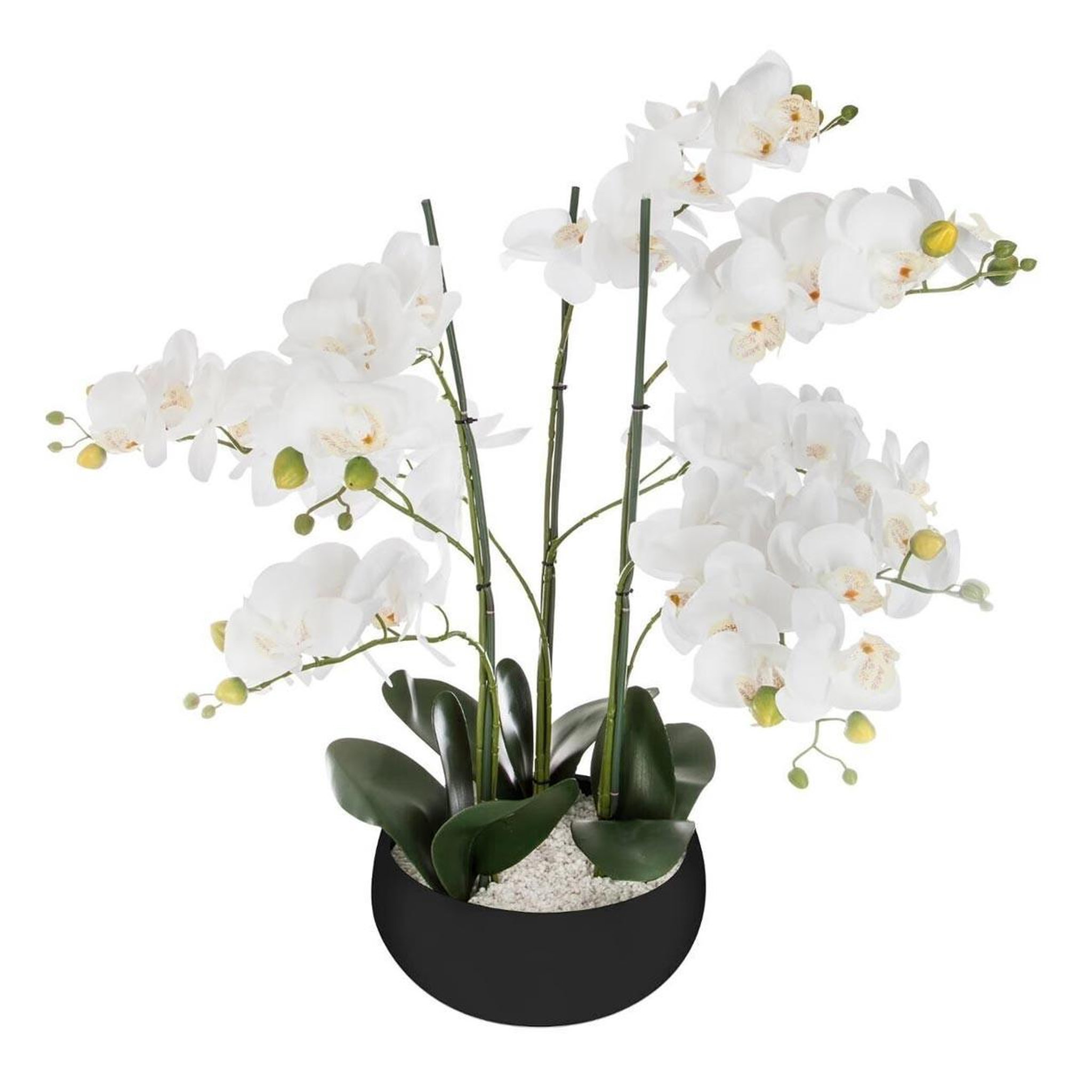 ATMOSPHERA Fleur artificielle pot ciment  orchidée  65cm noir