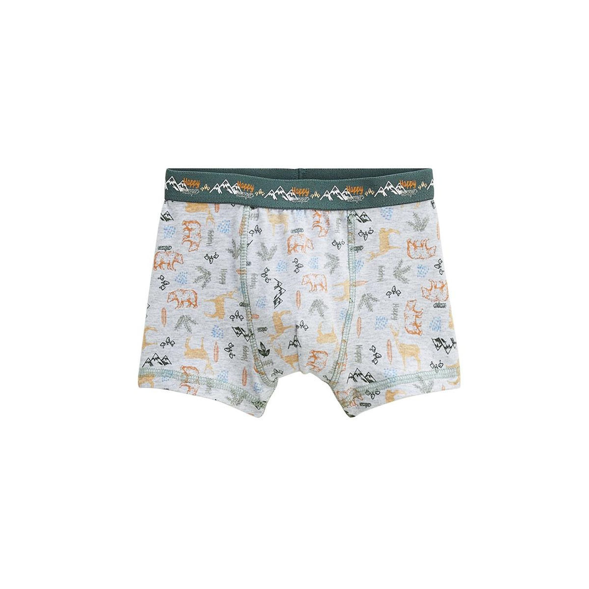 Petit Béguin Lot de 2 boxers garçon Forest