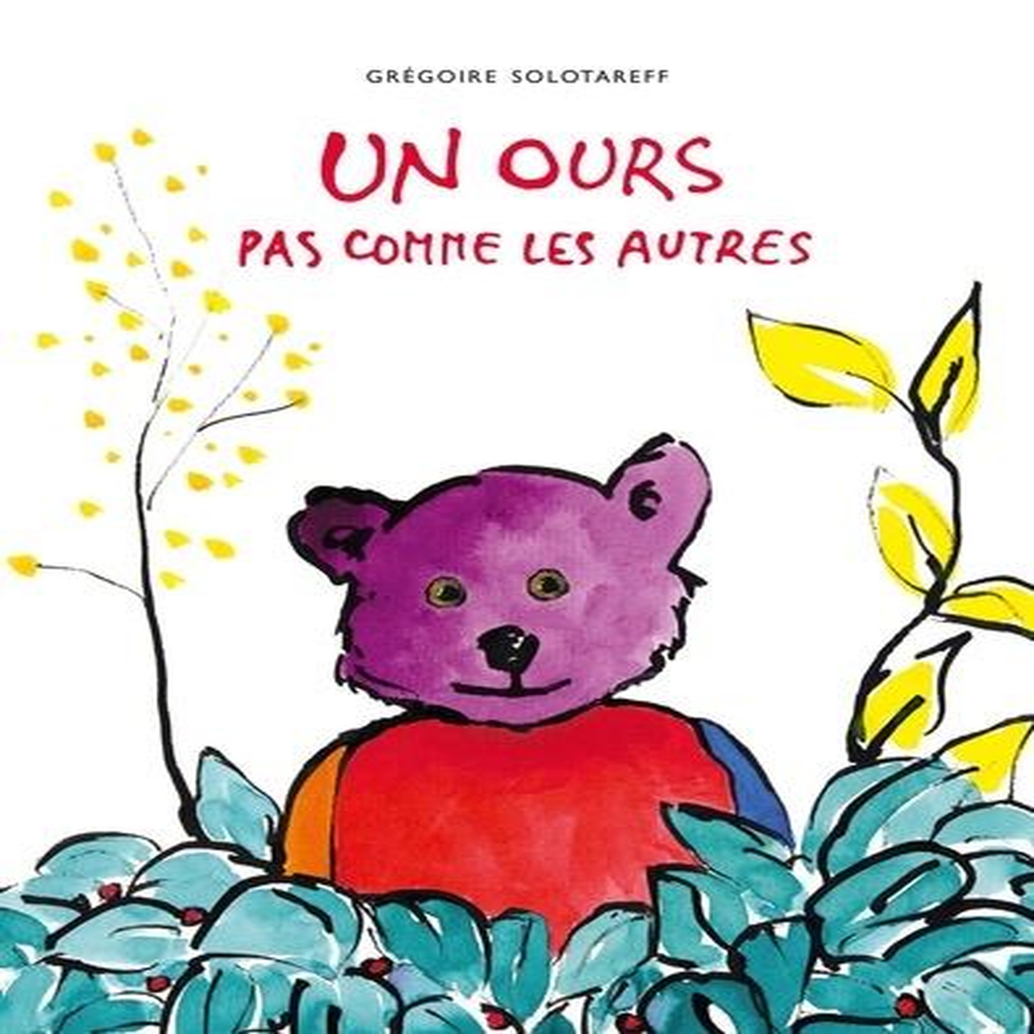 UN OURS PAS COMME LES AUTRES, Solotareff Grégoire