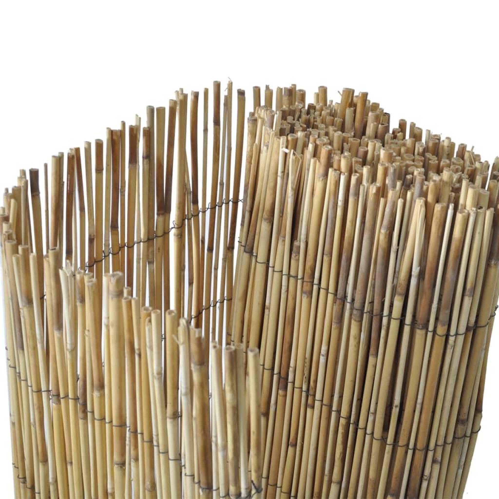Voir la diapositive 4 : VIDAXL Cloture de jardin en roseau 100x1000 cm