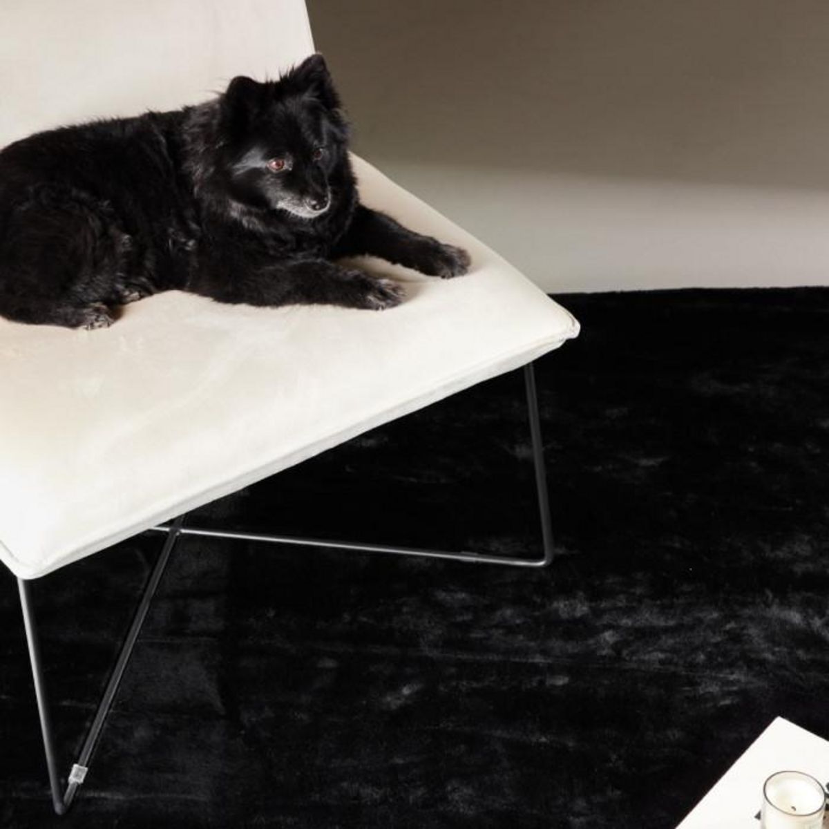 Paris Prix Tapis Design  Nina  200x300cm Noir