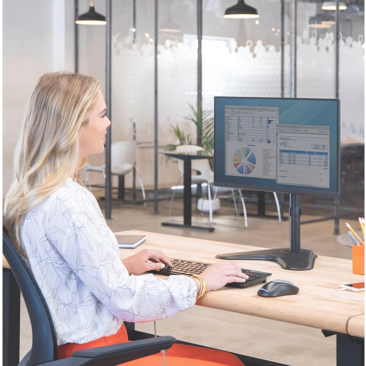 Fellowes Support écran PC Support Simple sur pied