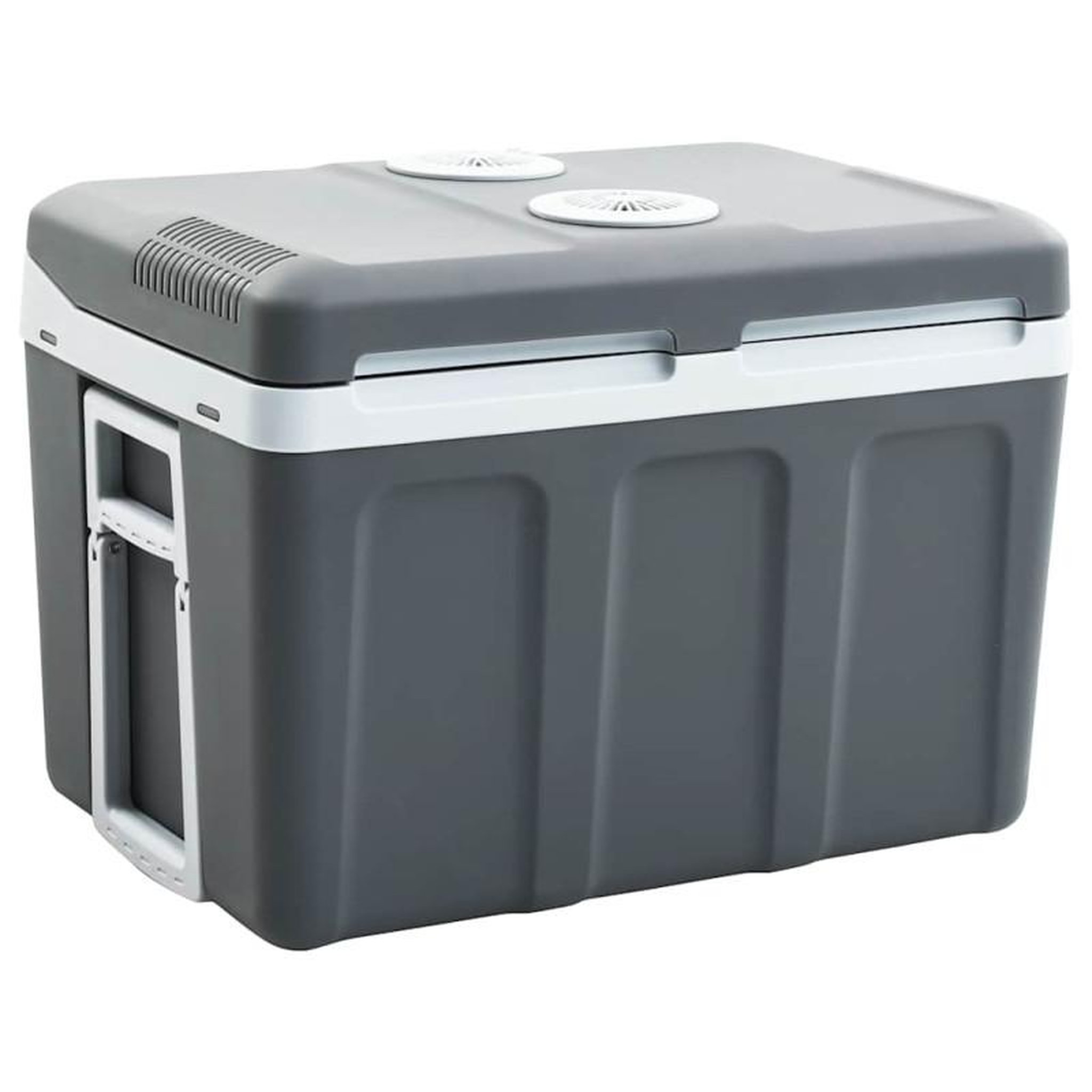 VIDAXL Glacière portable thermoélectrique 40 L 12 V 230 V E