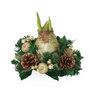 Voir la diapositive 1 : PLANT IN A BOX Amaryllis - Hippeastrum 'Couronne de Noël' - Or