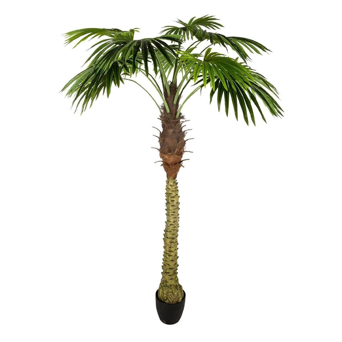 ATMOSPHERA Plante Artificielle Déco  Palmier  180cm Vert