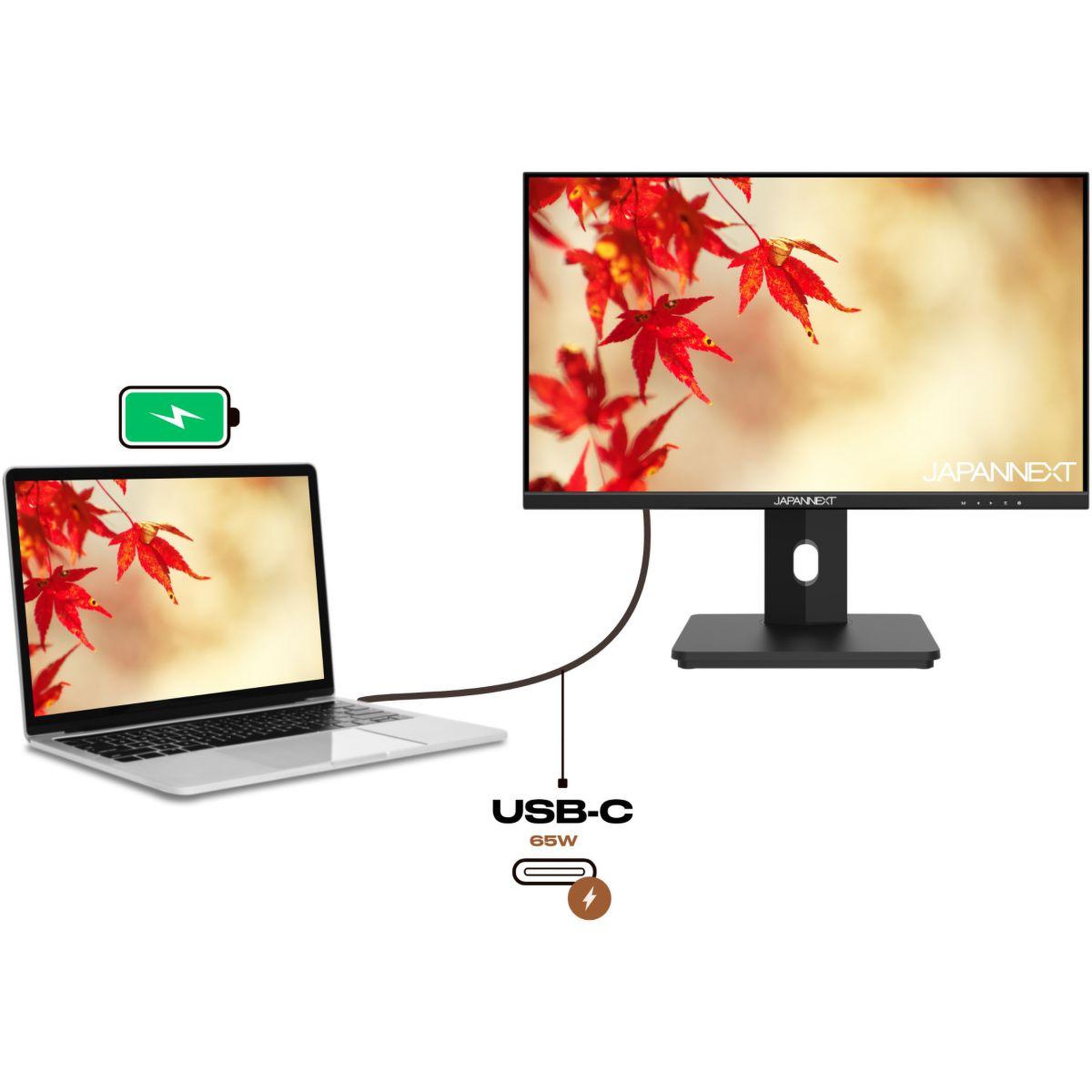 Voir la diapositive 3 : JAPANNEXT Ecran pc jn-i215flfhsp 21,5  ips full hd 75hz  hdmi - usb-c 65w kvm
