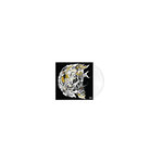 Atlantic Evil Friends 10th Anniversary Édition Limitée Vinyle Blanc