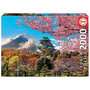 Voir la diapositive 1 : EDUCA Puzzle 2000 pcs Chateau d Osaka - Japon