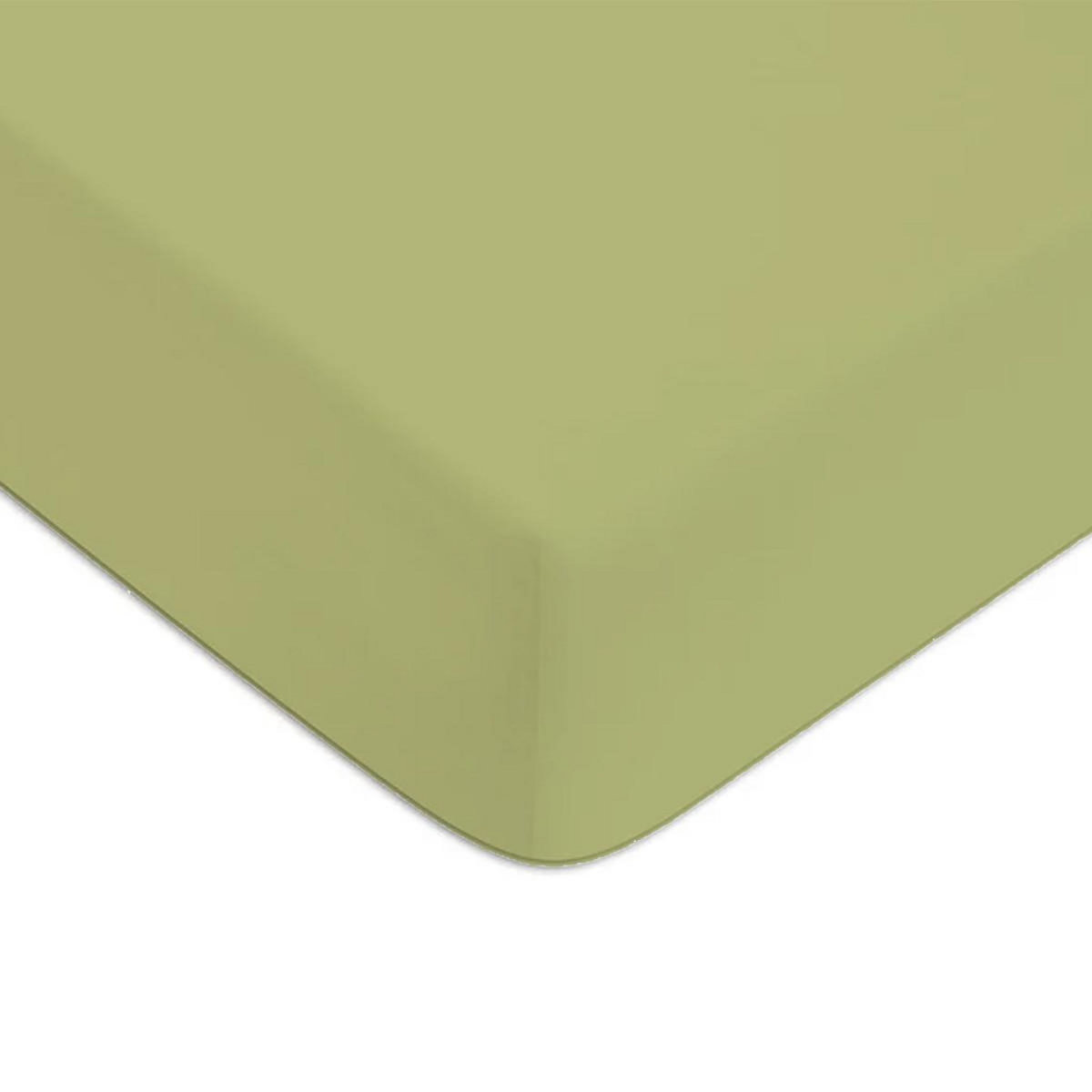 FUTURE HOME Drap housse en coton 57 fils uni bonnet 25cm