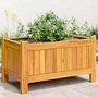 Voir la diapositive 1 : VIDAXL Jardiniere avec doublure 54x31x30 cm bois massif d'acacia