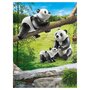 PLAYMOBIL 70353 - Family Fun - Couple de pandas avec bébé