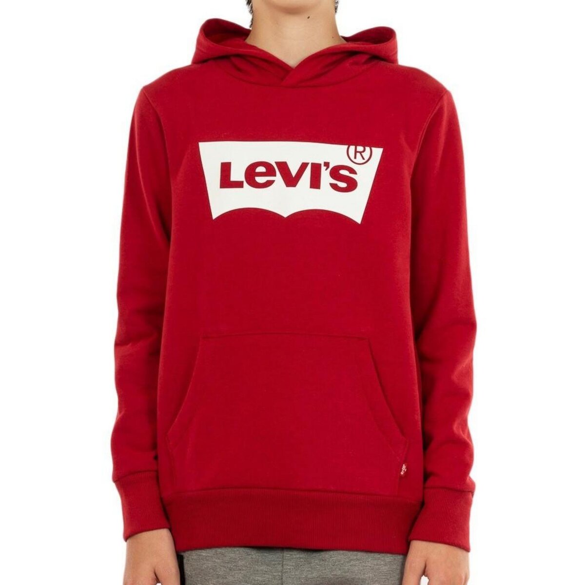 Levi's® Kids sweat à capuche garçon gris clair