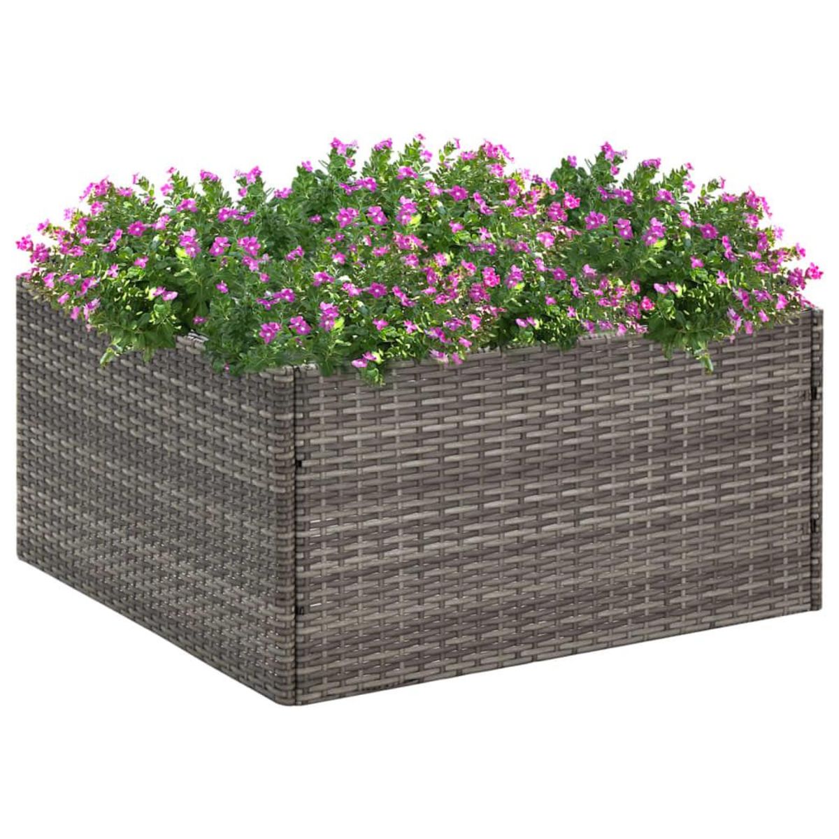 VIDAXL Jardiniere Gris 80x80x40 cm Resine tressee