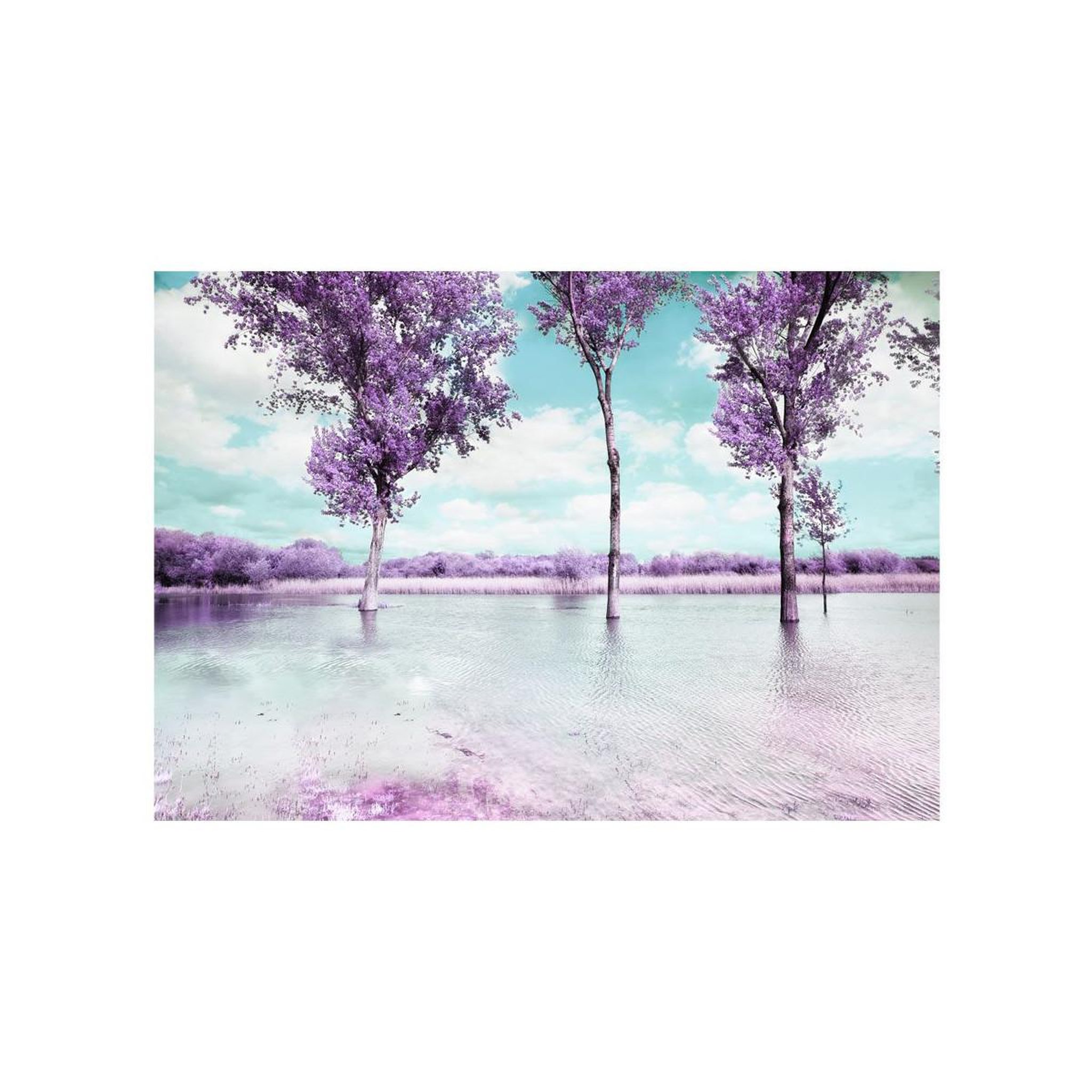 Voir la diapositive 2 : Paris Prix Papier peint  paysage de bruyère