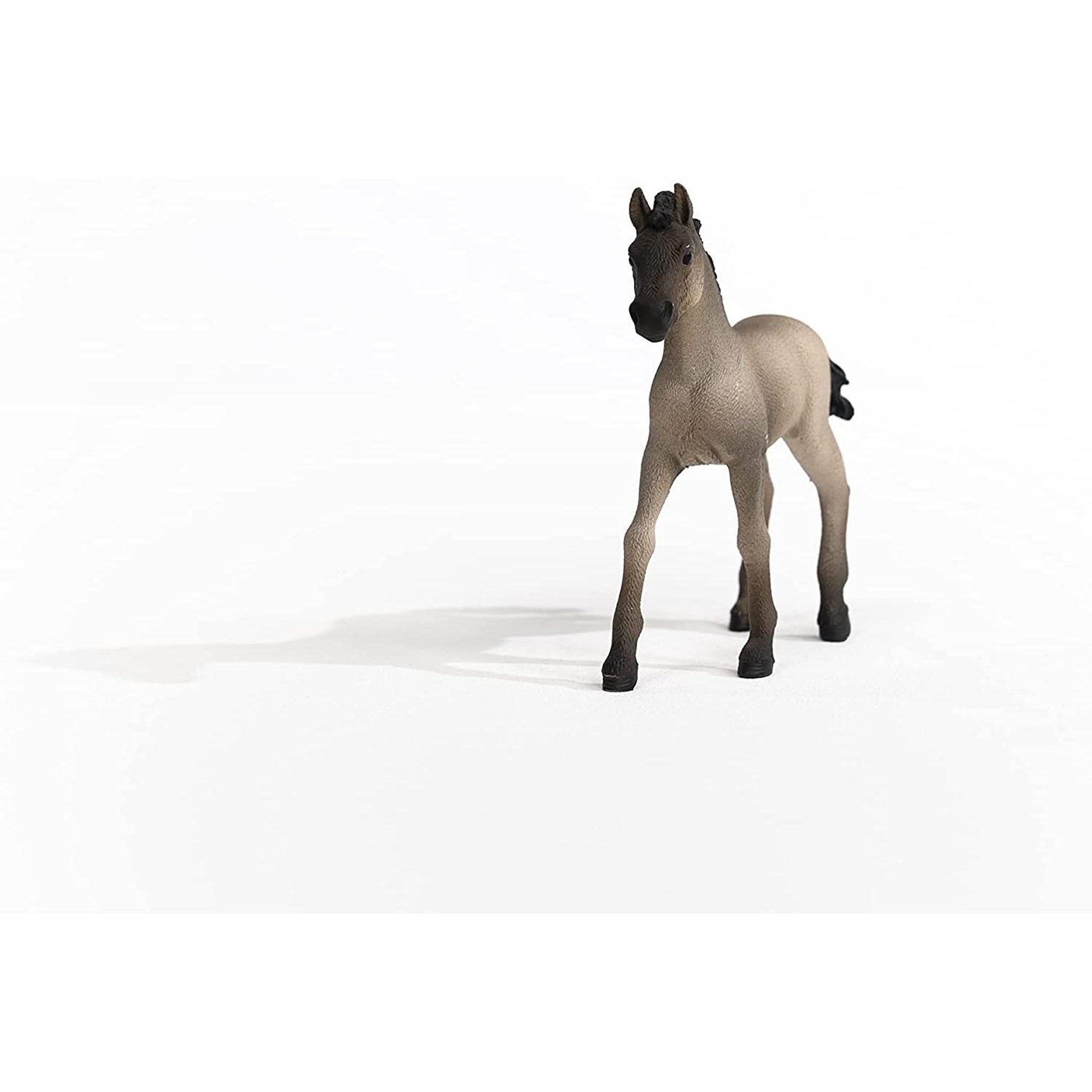Voir la diapositive 3 : Schleich Figurine animale 13949 poulain criollo definitivo