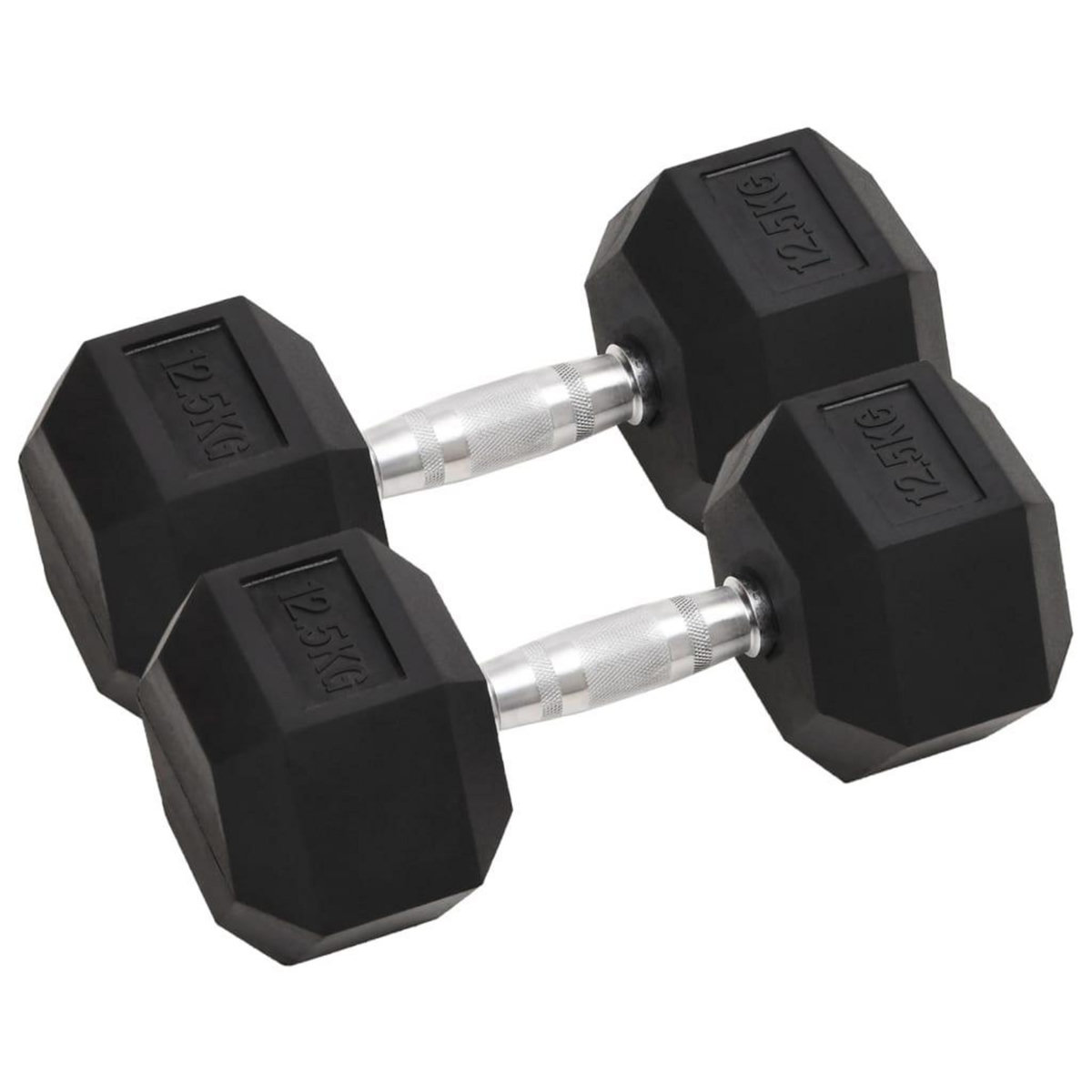 VIDAXL Halteres 2 pcs 25 kg Fonte