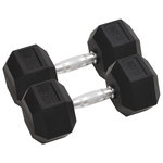 VIDAXL Halteres 2 pcs 25 kg Fonte