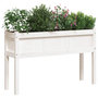 Voir la diapositive 4 : VIDAXL Jardinieres avec pieds blanc 110x31x70 cm bois de pin massif
