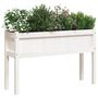 Voir la diapositive 4 : VIDAXL Jardinieres avec pieds blanc 110x31x70 cm bois de pin massif
