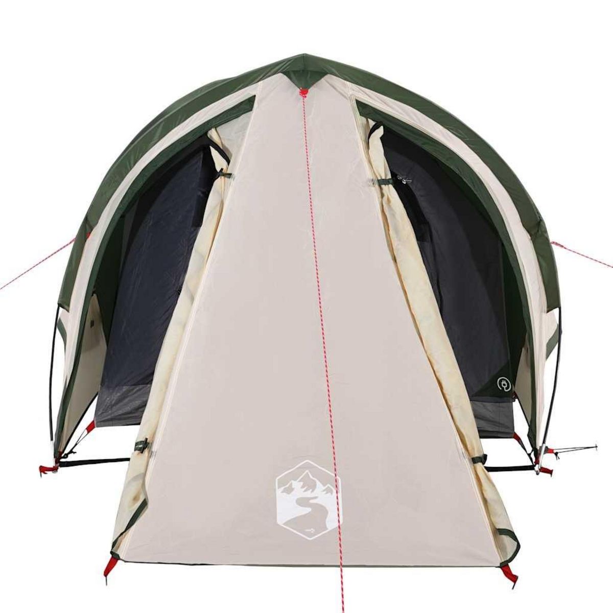 VIDAXL Tente de camping a dome 2 personne vert impermeable