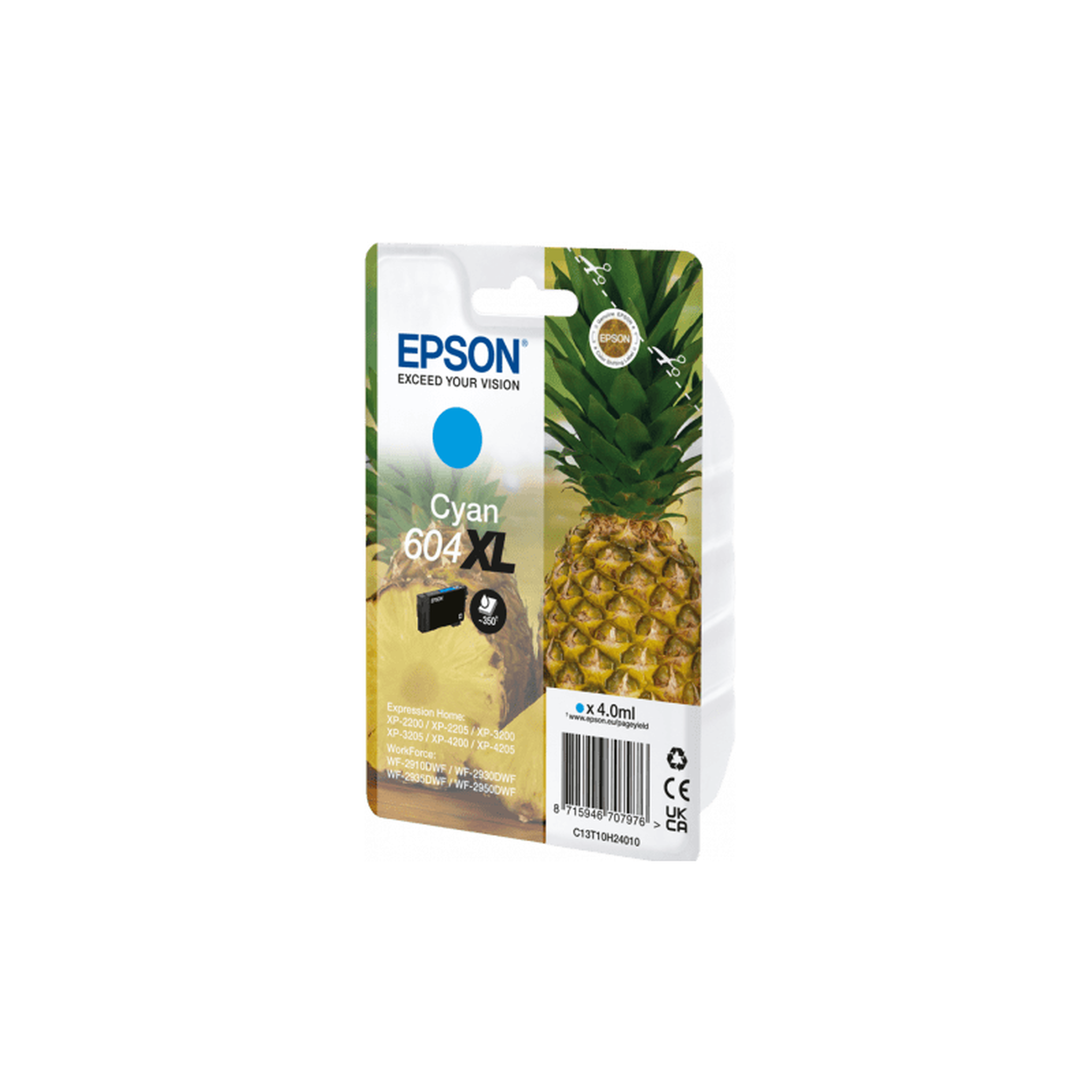 Epson Consommable EPSON C13T10H24010