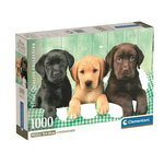 CLEMENTONI Puzzle Clementoni Compact 1000 pièces