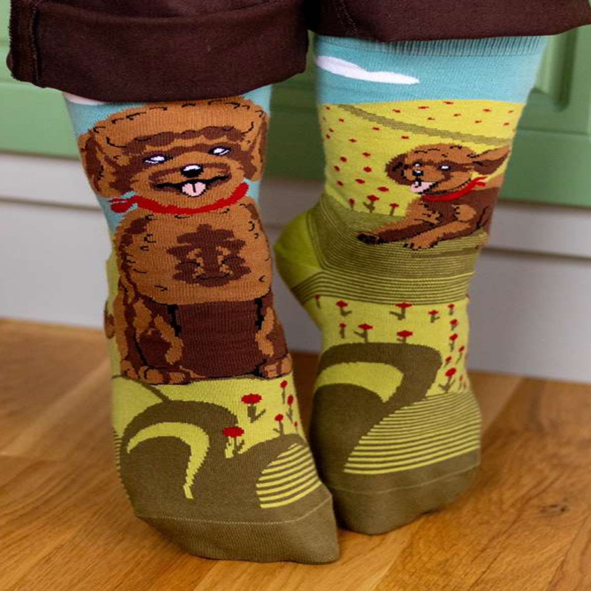 Voir la diapositive 3 : PIRIN HILL Chaussettes arty caniche