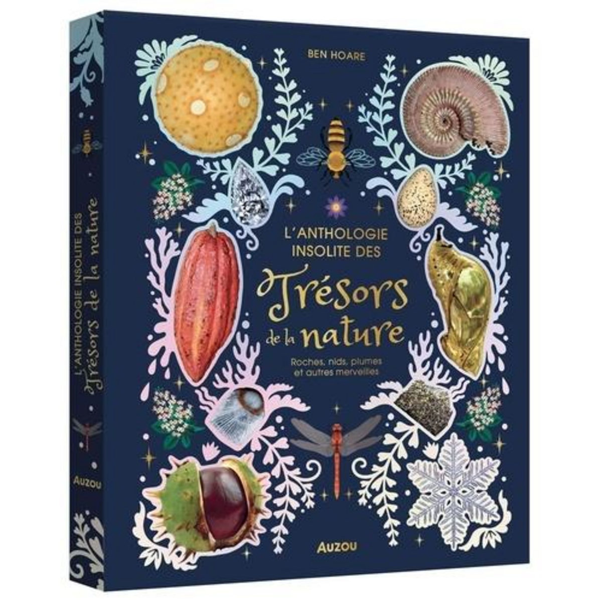 L'ANTHOLOGIE INSOLITE DES TRESORS DE LA NATURE. ROCHES, NIDS, PLUMES ET AUTRES MERVEILLES, Hoare Ben