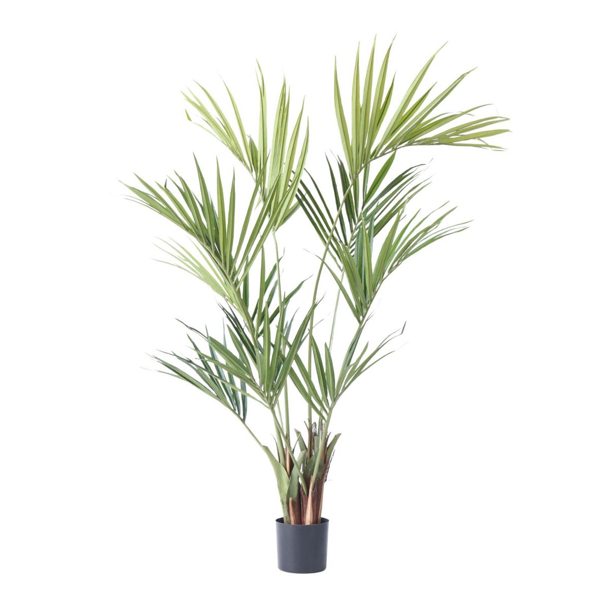 PLANT IN A BOX Kentia artificiel - Hauteur 150cm