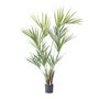 Voir la diapositive 1 : PLANT IN A BOX Kentia artificiel - Hauteur 150cm