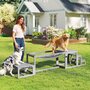 Voir la diapositive 4 : PAWHUT Passerelle agility chiens - Passerelle pour parcours canins d'Agility - bois de sapin gris