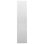 Voir la diapositive 5 : VIDAXL Armoire a bureau porte coulissante Gris clair 90x40x180cm Acier