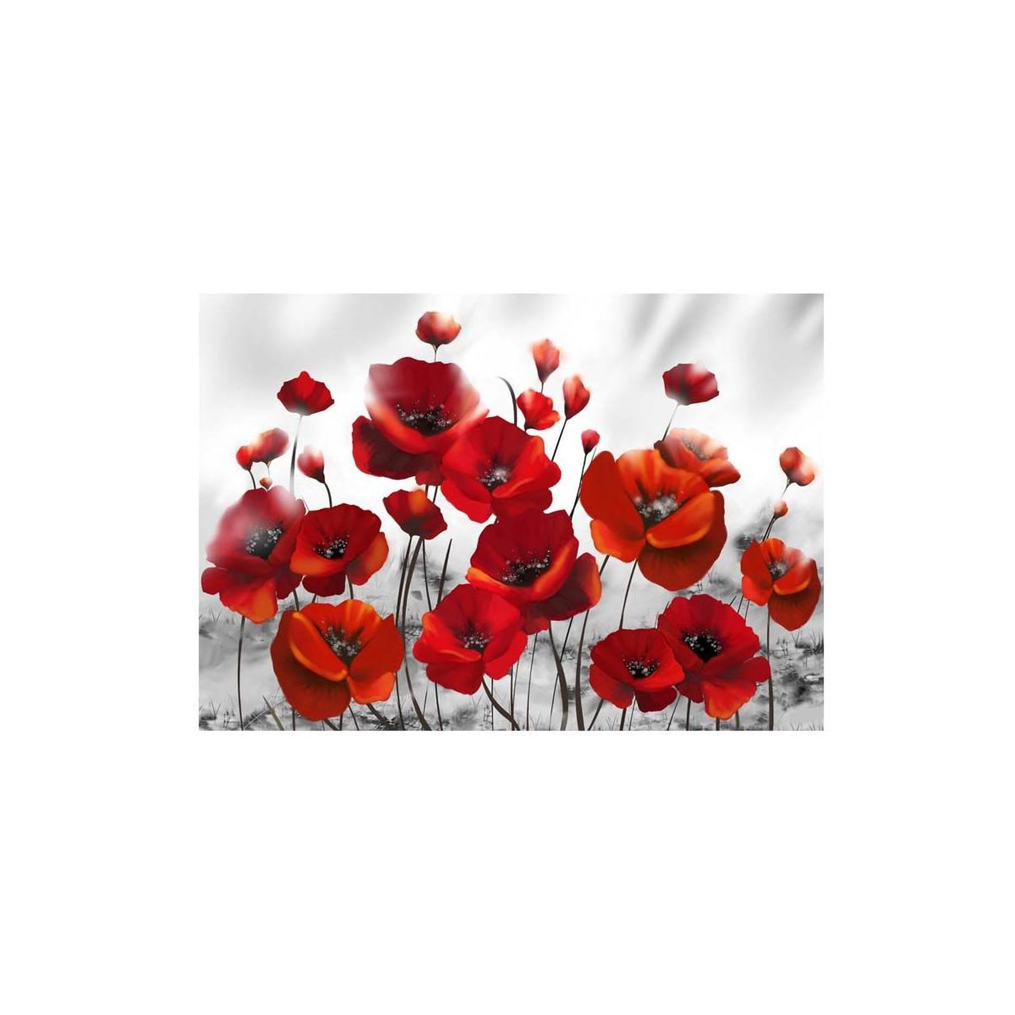 Voir la diapositive 2 : Paris Prix Papier Peint  Coquelicots dans au Clair de Lune