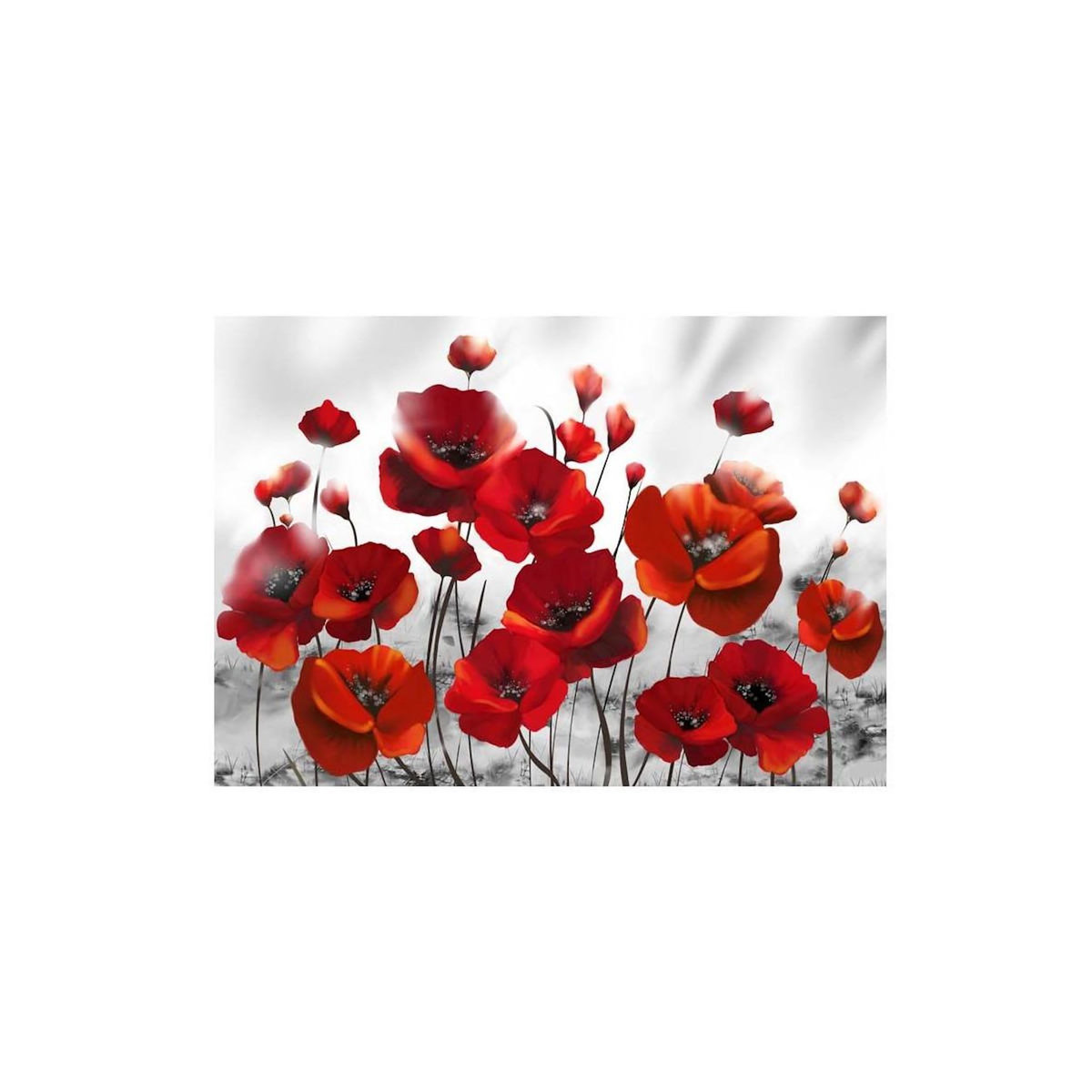 Paris Prix Papier Peint  Coquelicots dans au Clair de Lune