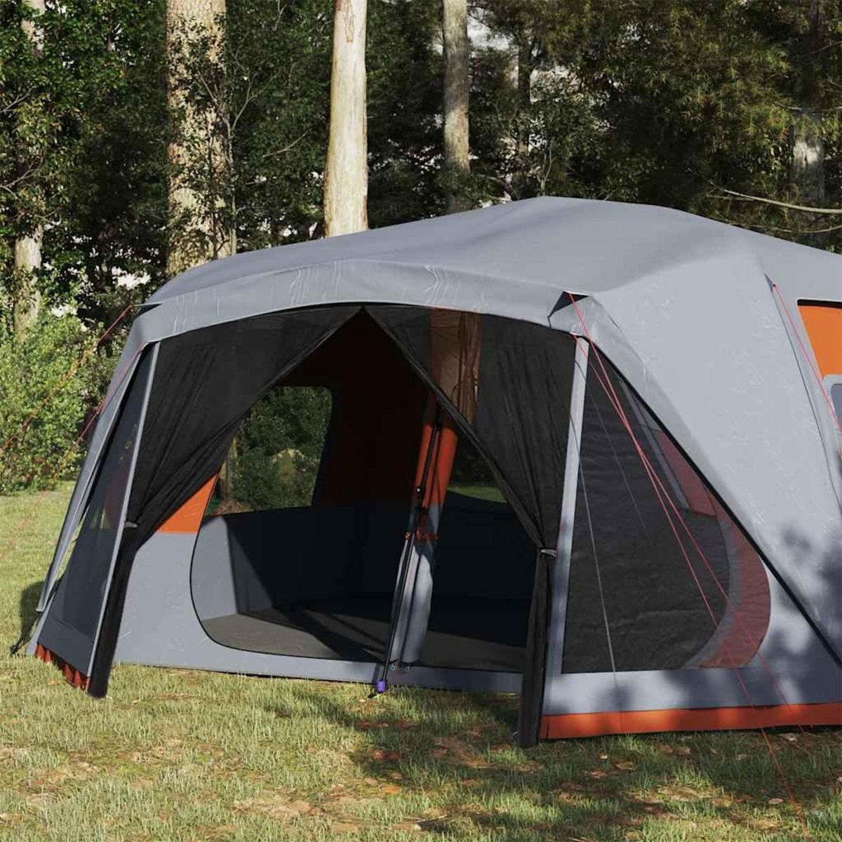 VIDAXL Tente familiale 10 personnes liberation rapide impermeable