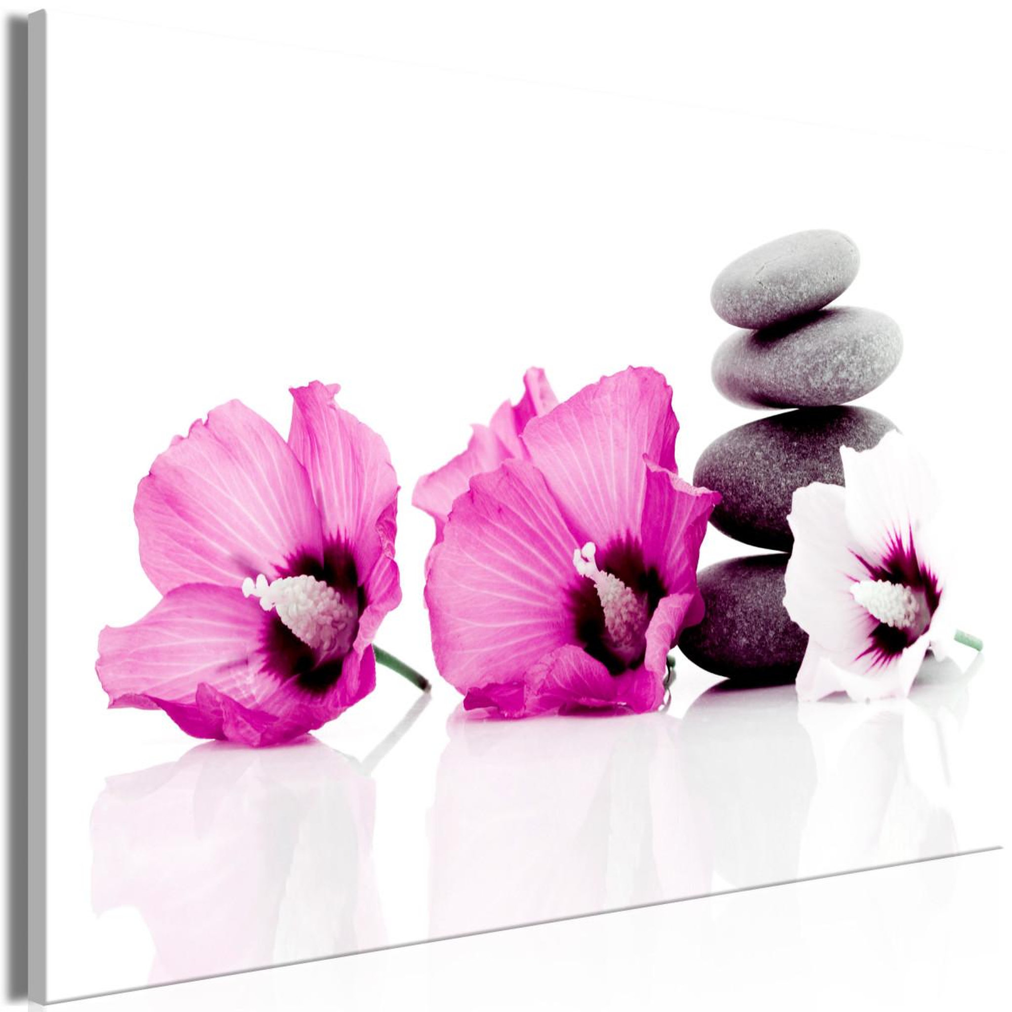 Paris Prix Tableau imprimé  calm mallow wide pink. Coloris disponibles : Multicolore