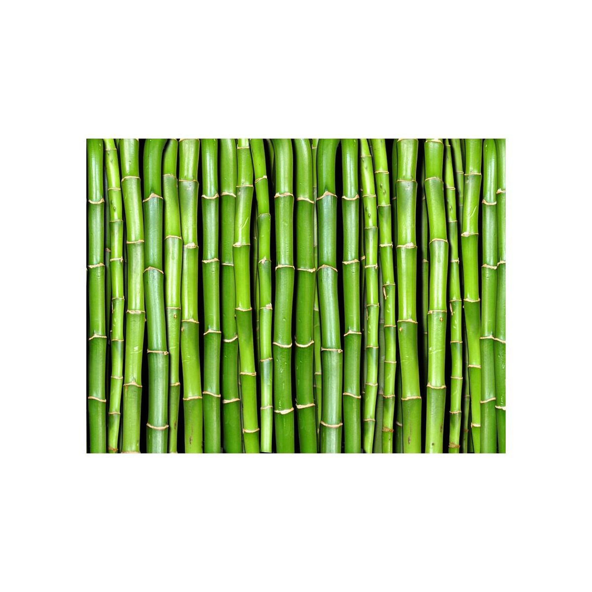 Voir la diapositive 2 : Paris Prix Papier peint  mur vert bambou